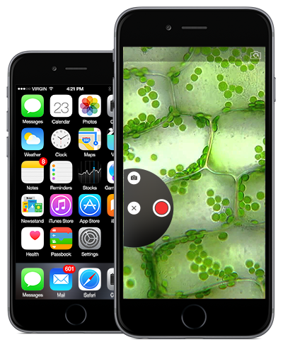 iphone6-microscopic